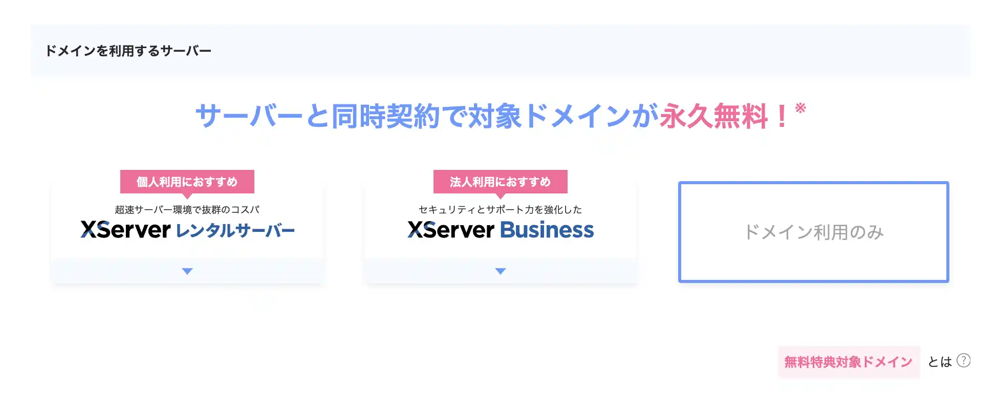 ドメイン利用申し込み-ドメイン利用のみ