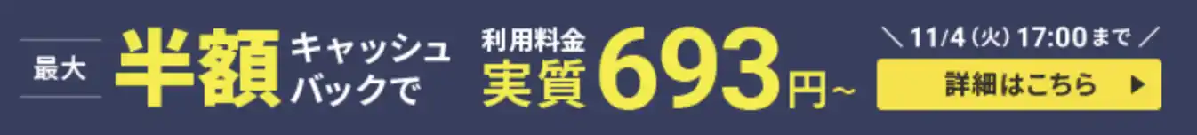 キャンペーン内容-1104